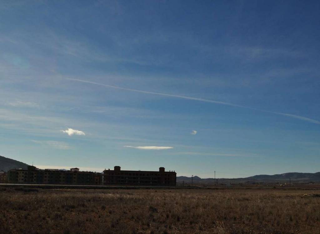 Venta - Terreno - Pinoso - Rural location