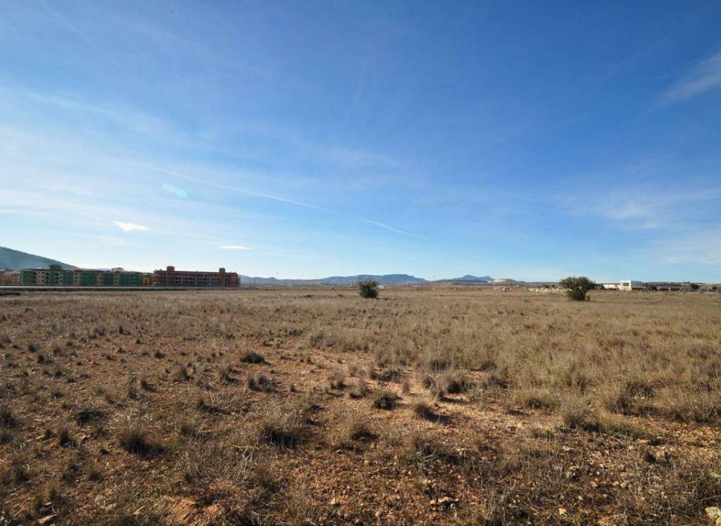 Venta - Terreno - Pinoso - Rural location