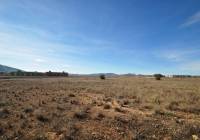 Venta - Terreno - Pinoso - Rural location