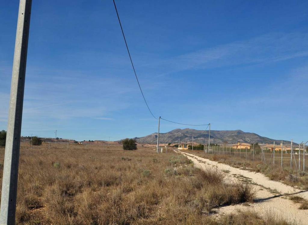 Venta - Terreno - Pinoso - Rural location