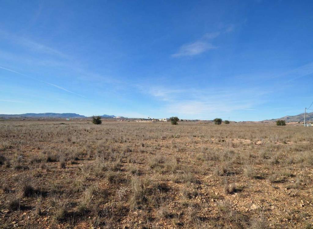 Venta - Terreno - Pinoso - Rural location