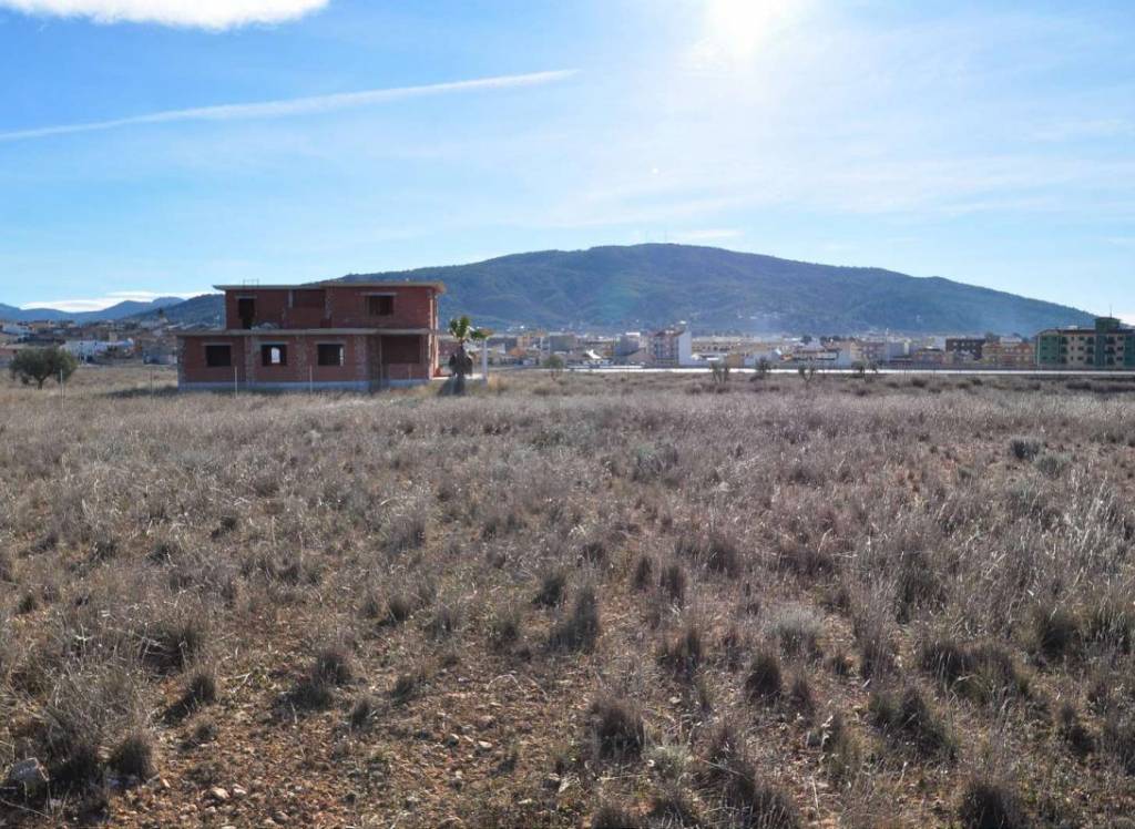 Venta - Terreno - Pinoso - Rural location