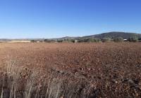 Venta - Terreno - Pinoso - Rural location