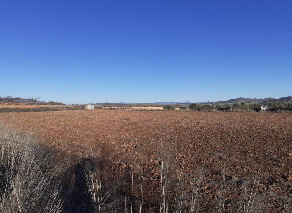 Venta - Terreno - Pinoso - Rural location