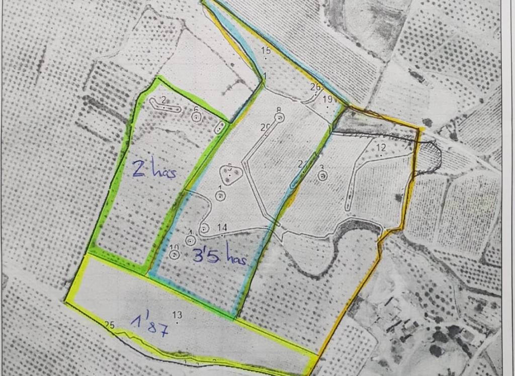 Venta - Terreno - Pinoso - Rural location