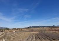 Venta - Terreno - Pinoso - Rural location