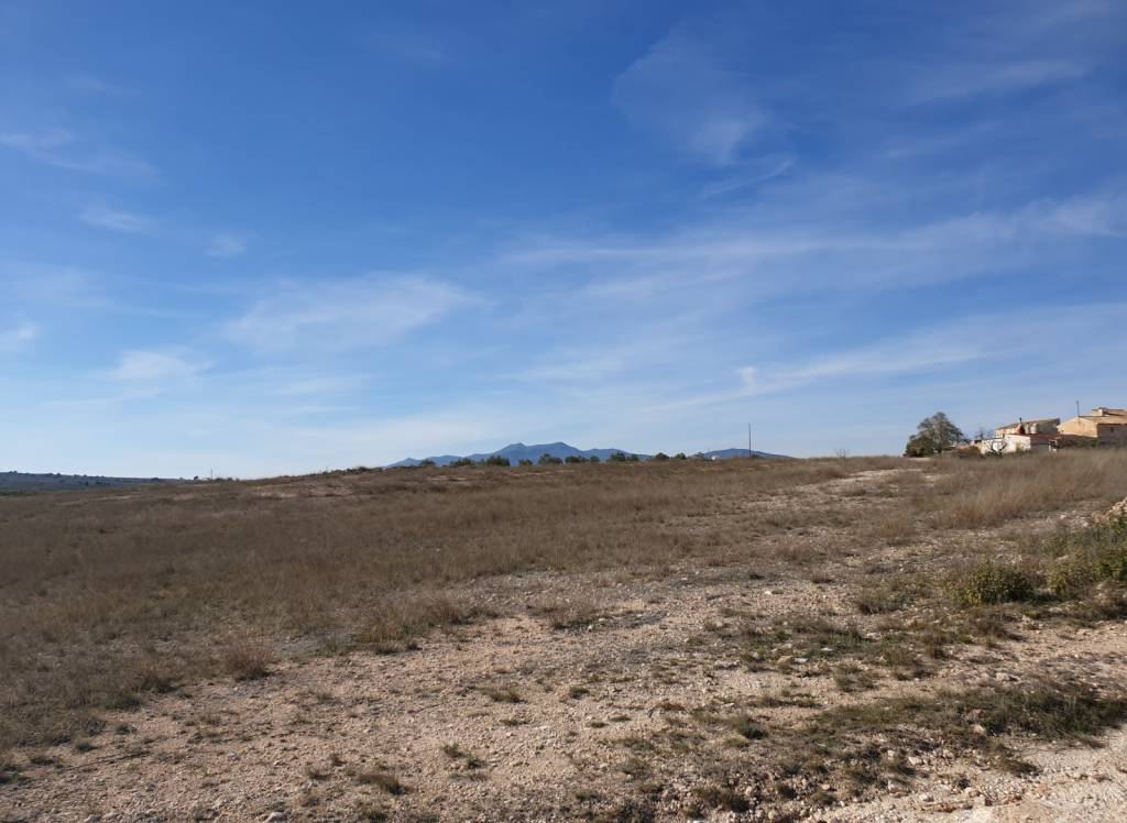 Venta - Terreno - Pinoso - Rural location