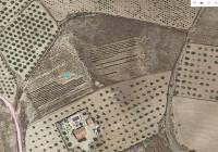 Venta - Terreno - Pinoso - Rural location