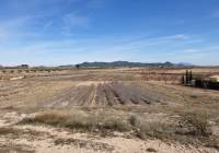 Venta - Terreno - Pinoso - Rural location