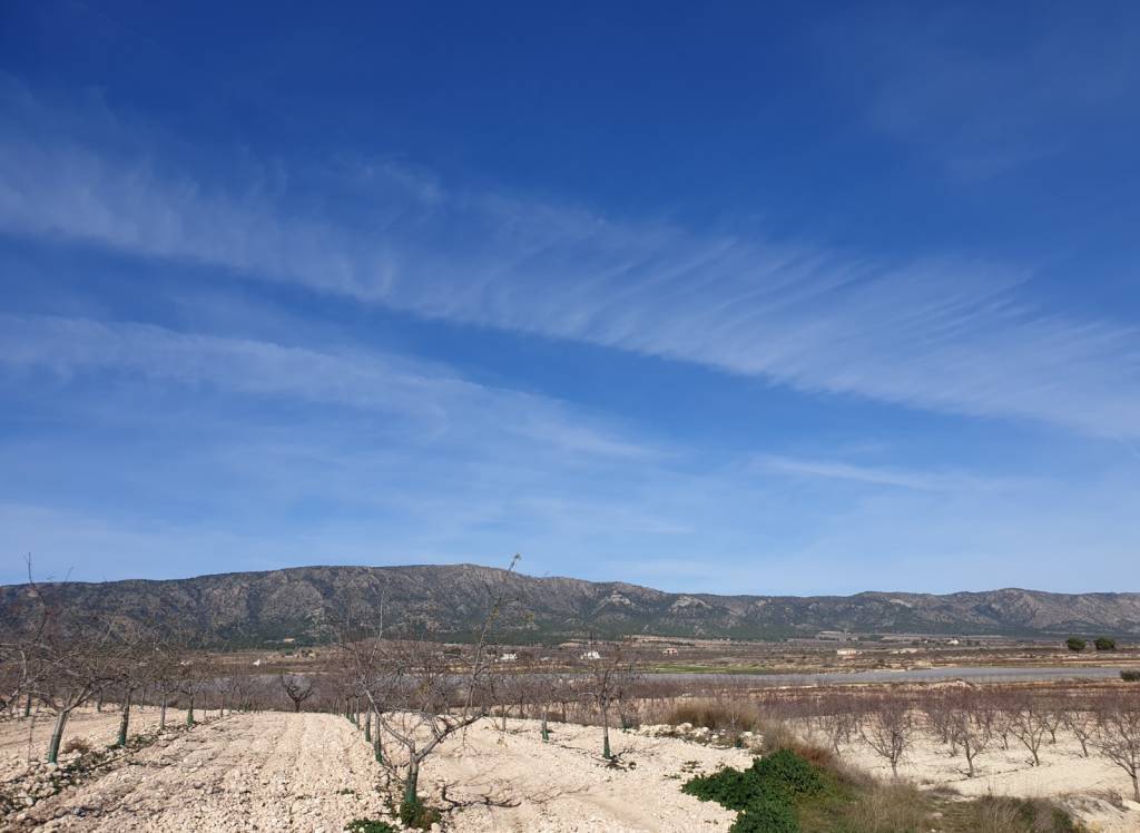 Venta - Terreno - Pinoso - Rural location