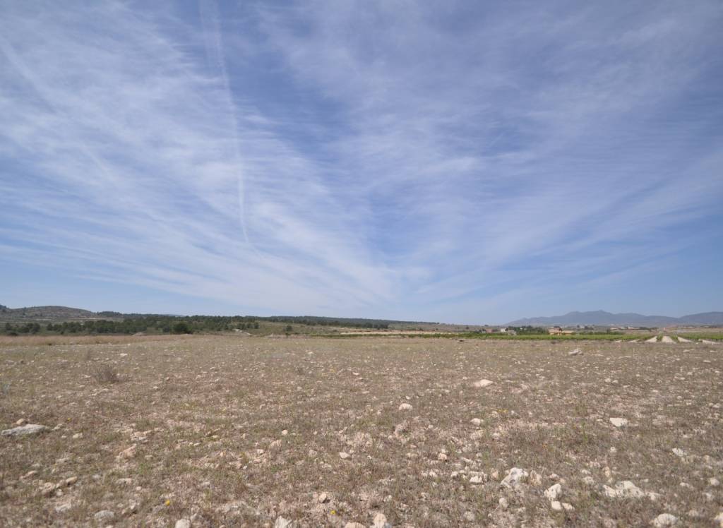Venta - Terreno - Pinoso - Rural location
