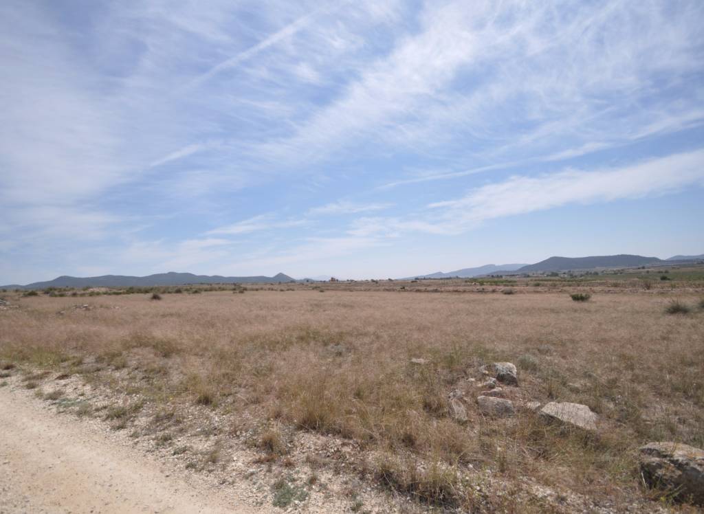 Venta - Terreno - Pinoso - Rural location