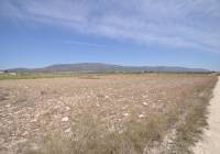Venta - Terreno - Pinoso - Rural location