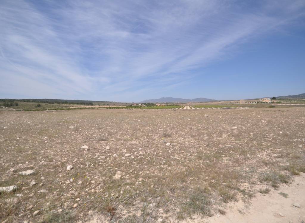Venta - Terreno - Pinoso - Rural location