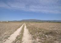Venta - Terreno - Pinoso - Rural location