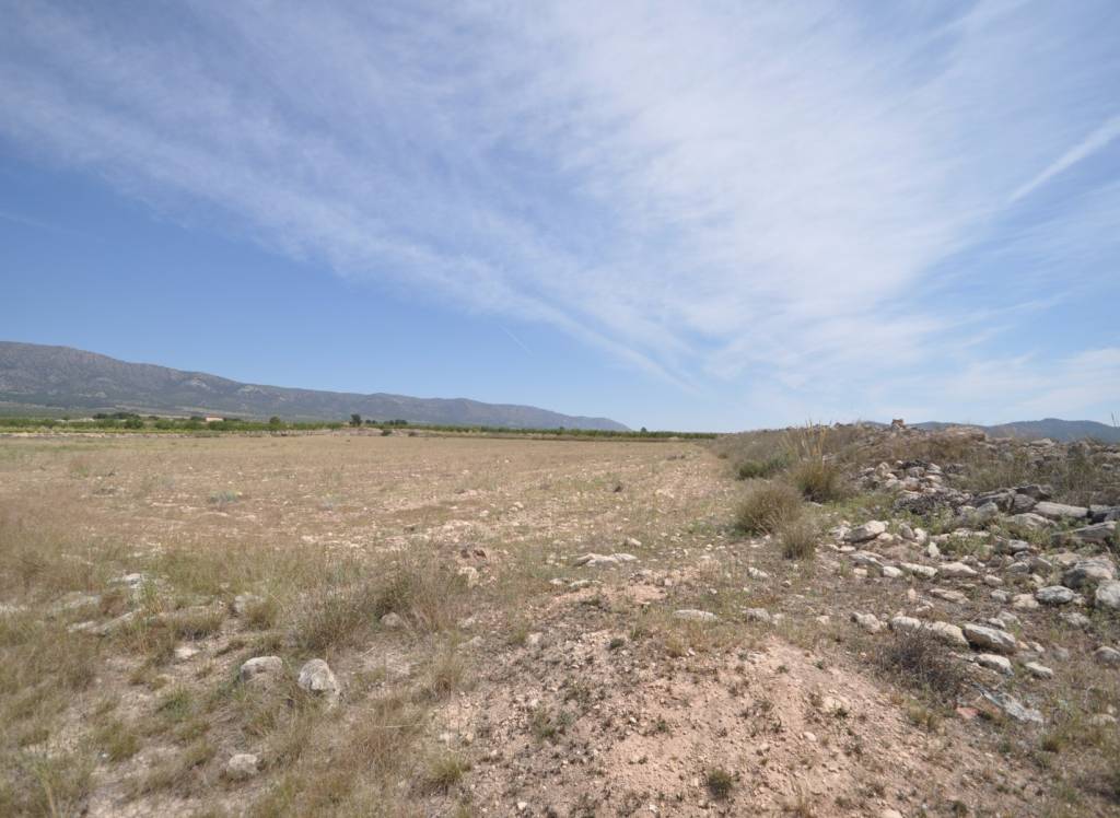Venta - Terreno - Pinoso - Rural location