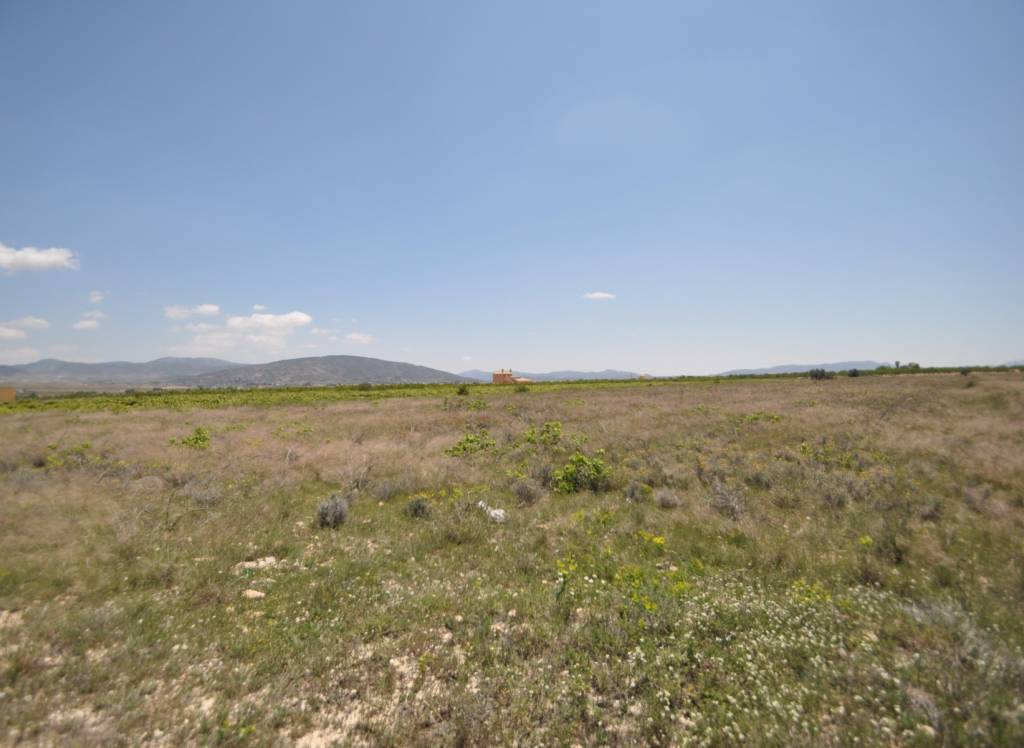 Venta - Terreno - Pinoso - Rural location