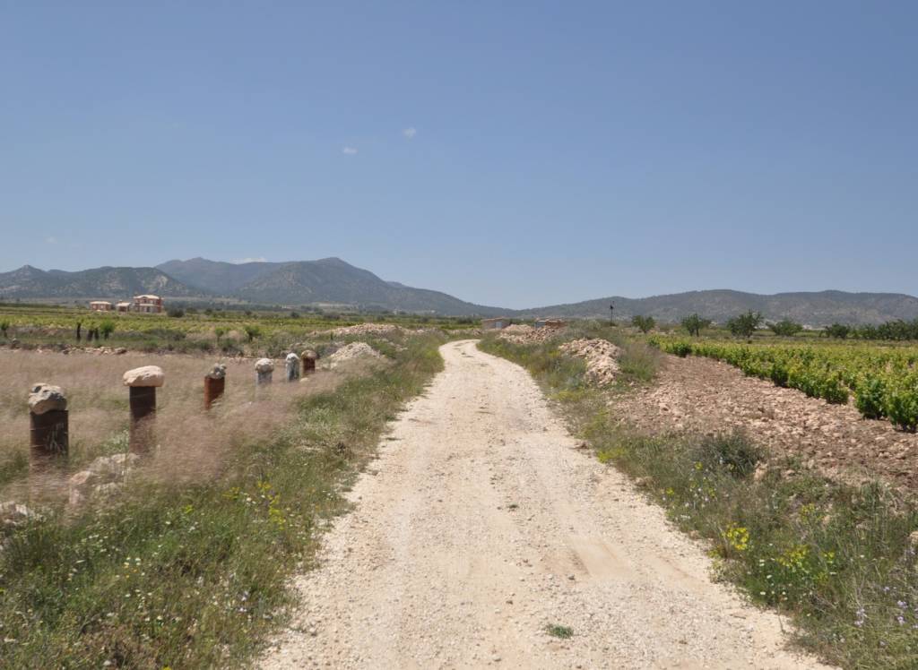 Venta - Terreno - Pinoso - Rural location