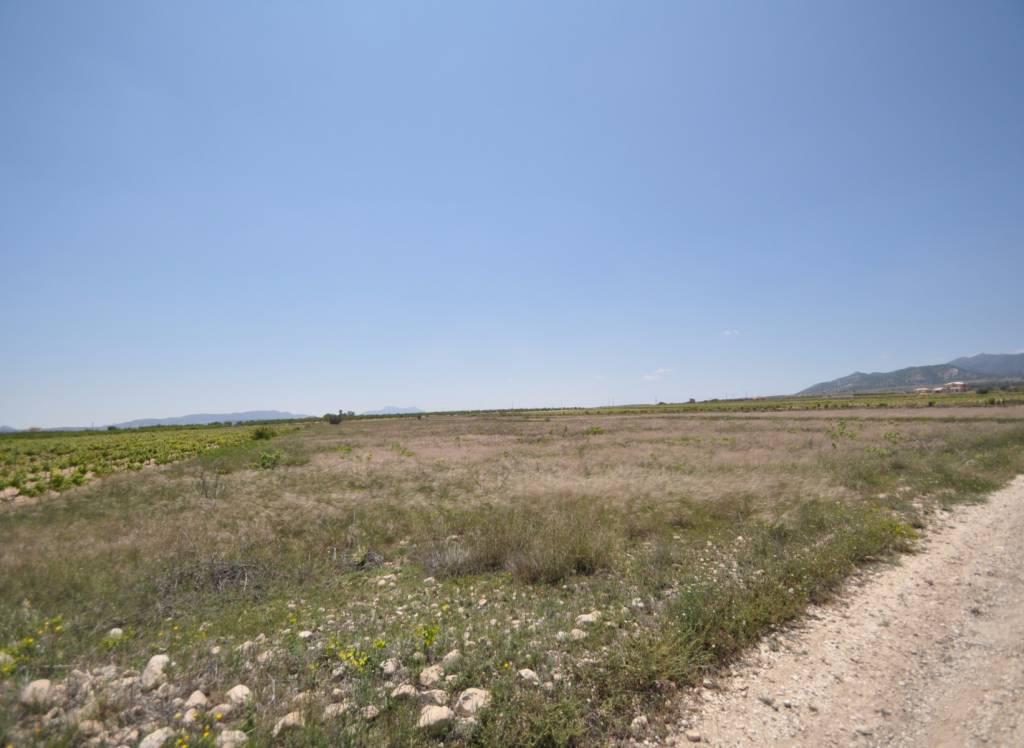 Venta - Terreno - Pinoso - Rural location