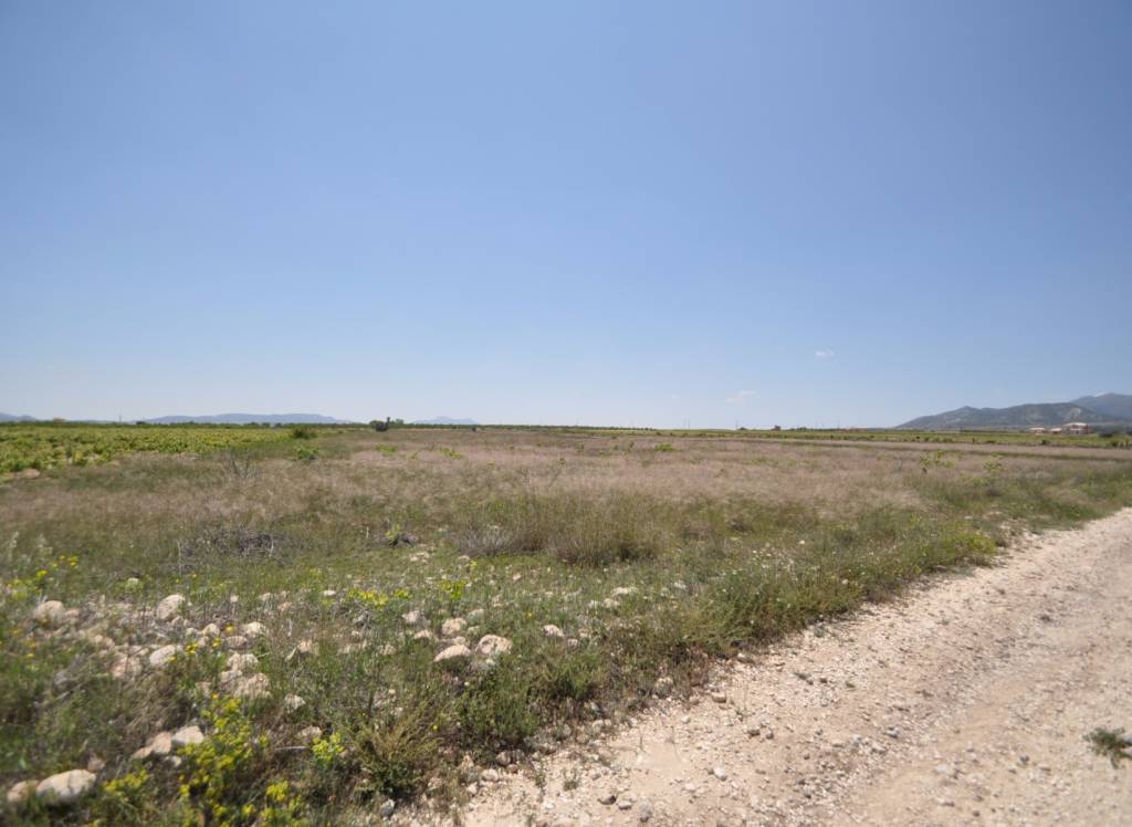 Venta - Terreno - Pinoso - Rural location