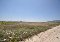 Venta - Terreno - Pinoso - Rural location