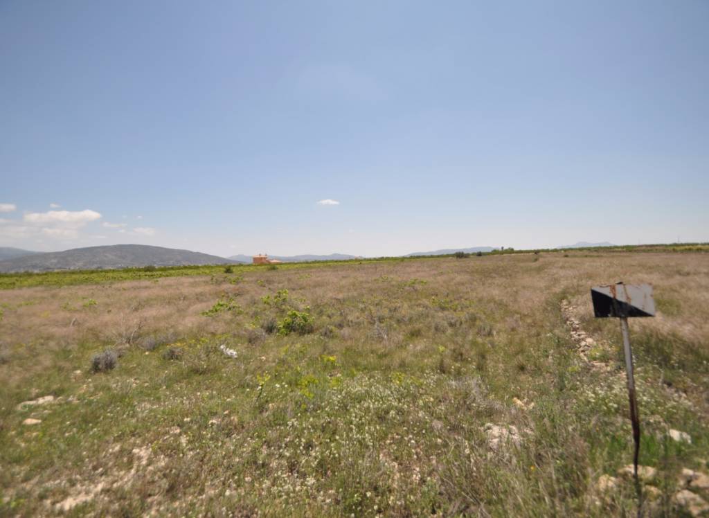 Venta - Terreno - Pinoso - Rural location