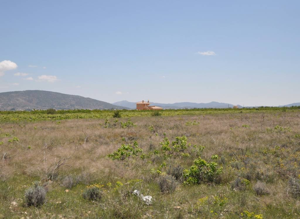 Venta - Terreno - Pinoso - Rural location