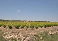 Venta - Terreno - Pinoso - Rural location