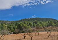 Venta - Terreno - Pinoso - Rural location