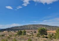 Venta - Terreno - Pinoso - Rural location