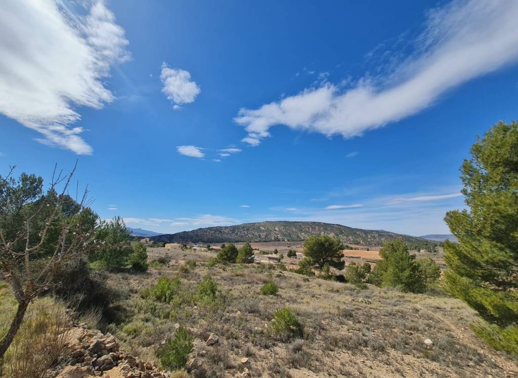 Venta - Terreno - Pinoso - Rural location