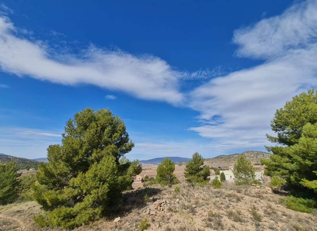 Venta - Terreno - Pinoso - Rural location