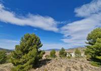 Venta - Terreno - Pinoso - Rural location