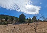 Venta - Terreno - Pinoso - Rural location