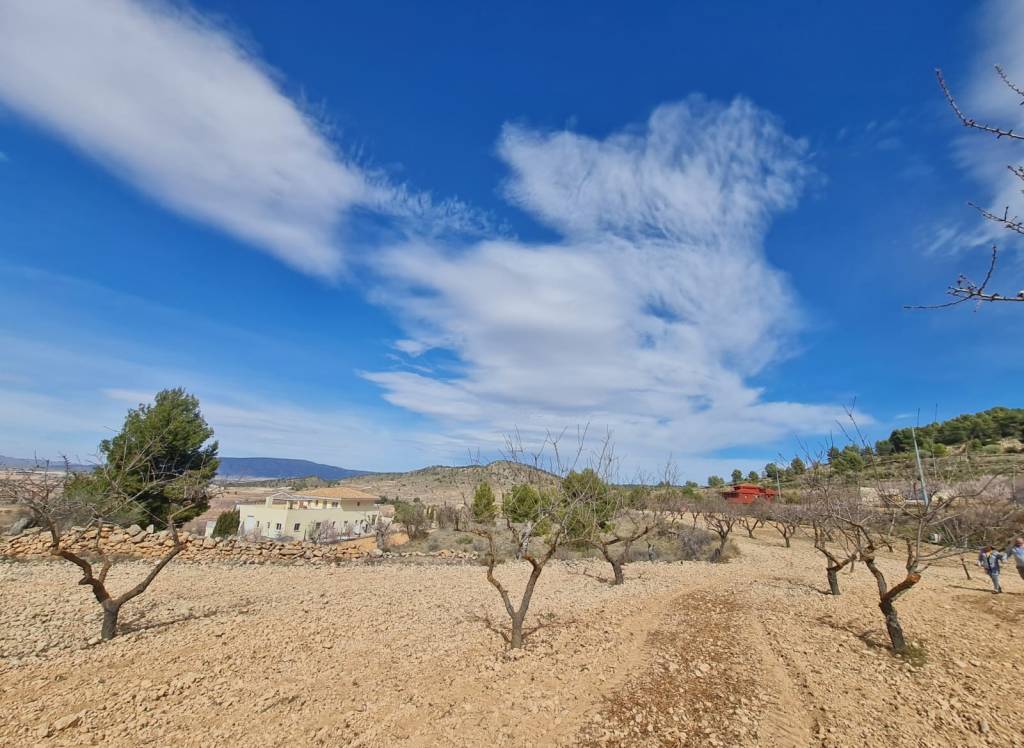 Venta - Terreno - Pinoso - Rural location