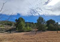 Venta - Terreno - Pinoso - Rural location