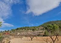 Venta - Terreno - Pinoso - Rural location