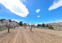 Venta - Terreno - Pinoso - Rural location