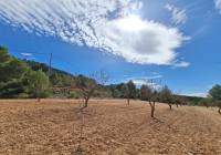 Venta - Terreno - Pinoso - Rural location