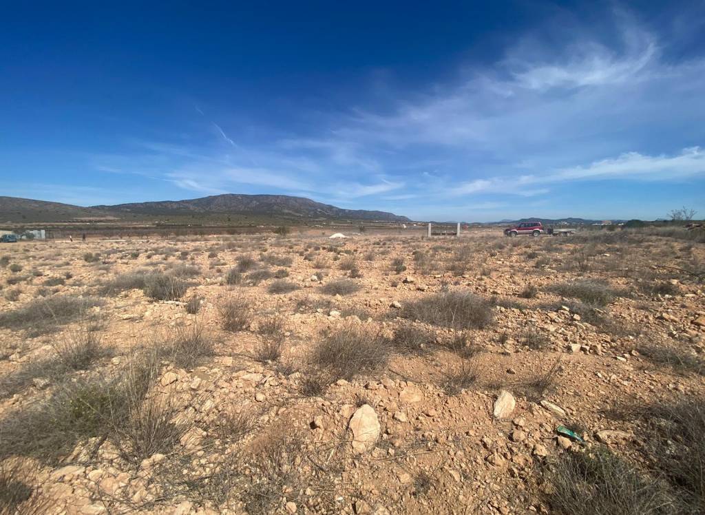 Venta - Terreno - Pinoso - Rural location