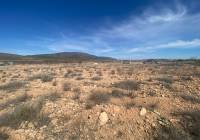 Venta - Terreno - Pinoso - Rural location