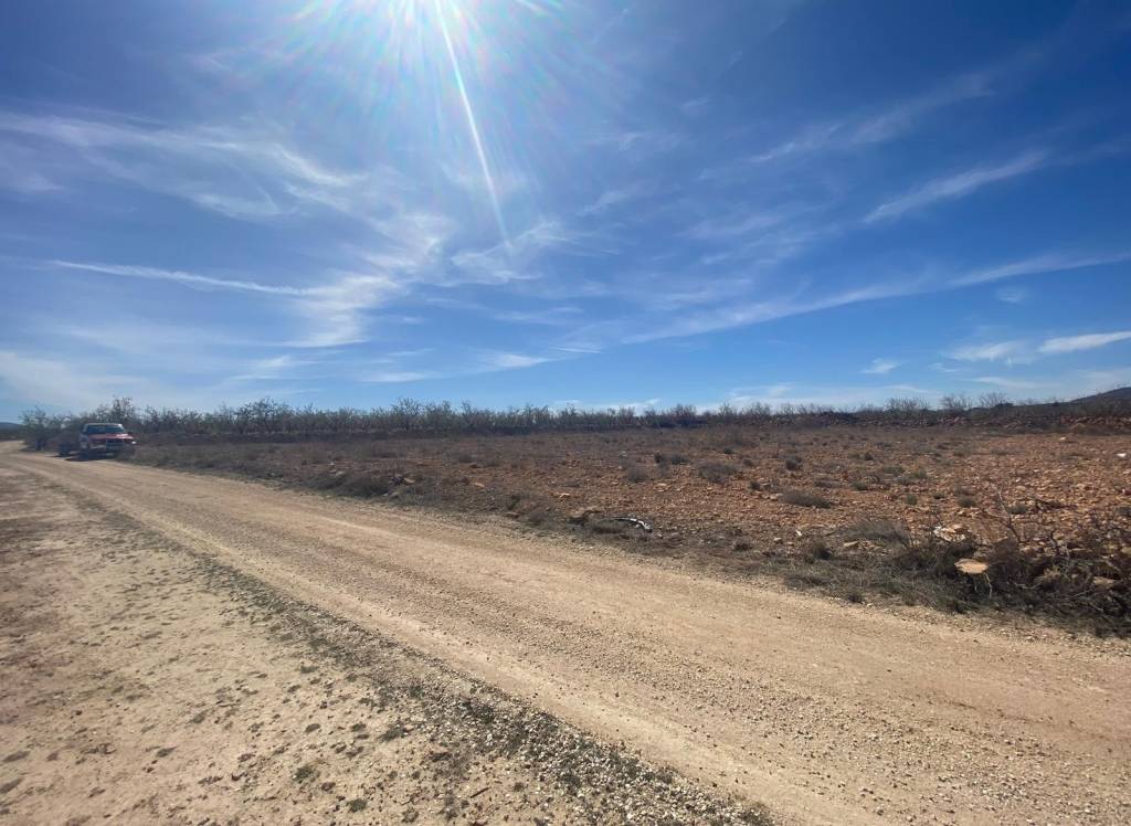 Venta - Terreno - Pinoso - Rural location