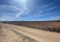 Venta - Terreno - Pinoso - Rural location