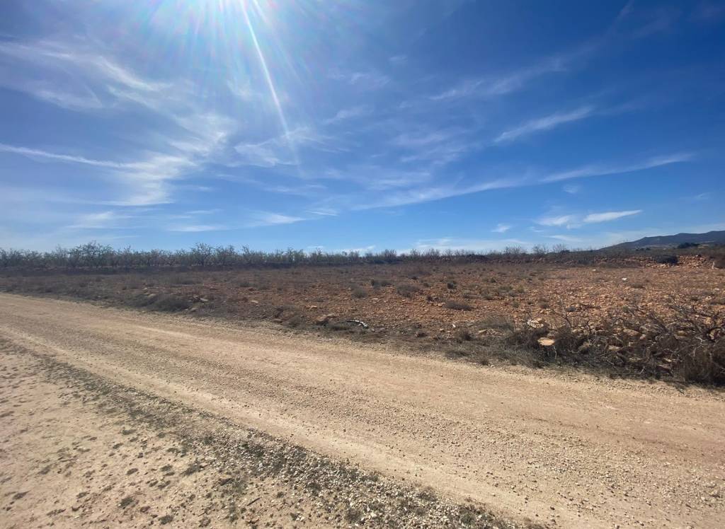 Venta - Terreno - Pinoso - Rural location