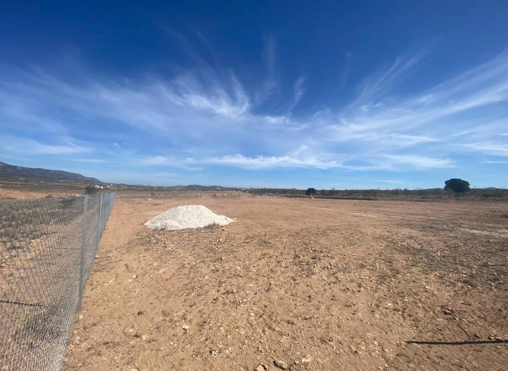 Venta - Terreno - Pinoso - Rural location