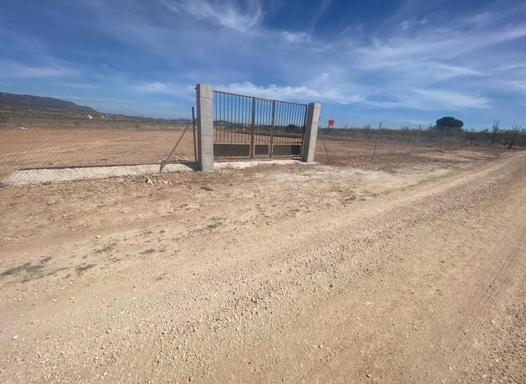 Venta - Terreno - Pinoso - Rural location