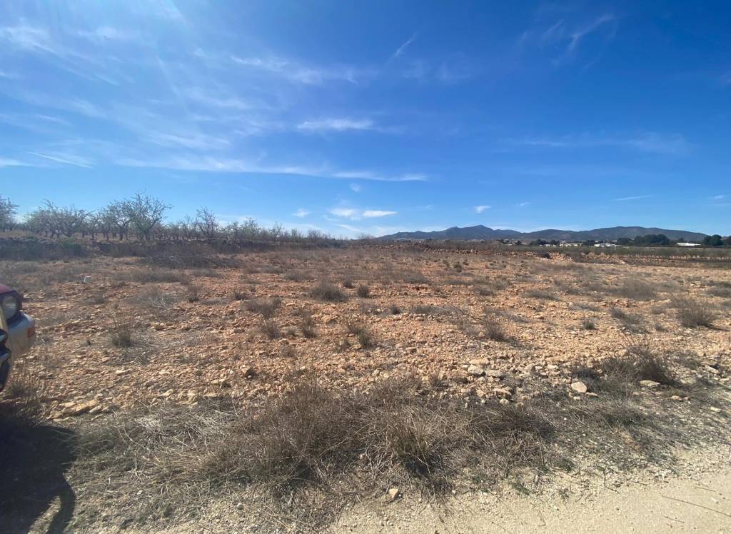 Venta - Terreno - Pinoso - Rural location