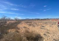 Venta - Terreno - Pinoso - Rural location