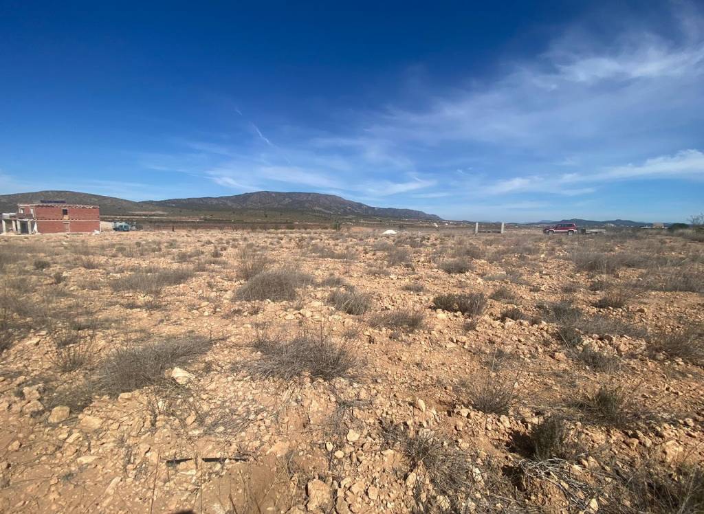 Venta - Terreno - Pinoso - Rural location