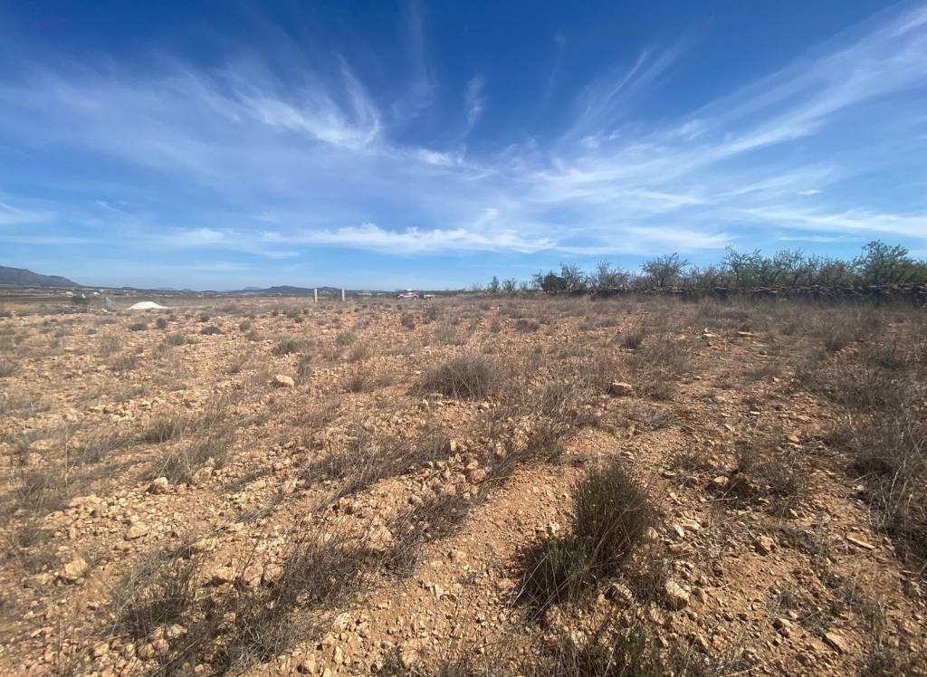 Venta - Terreno - Pinoso - Rural location